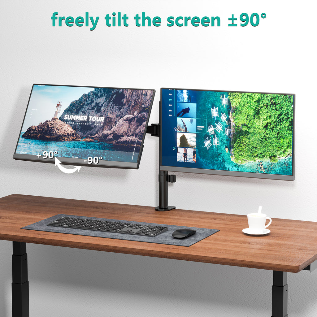 Dual Monitor Desk Mount Stand M002