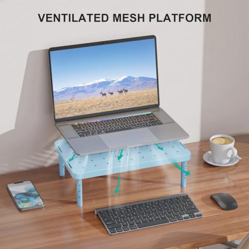 WALI Computer Monitor Stand for Desk, Adjustable Laptop Riser, up to 44 lbs|Desk Monitor Riser Underneath Storage, Fits Notebook, Laptops, Printers, for Home, Office, School(PTT001-S), 1 Pack, Blue
