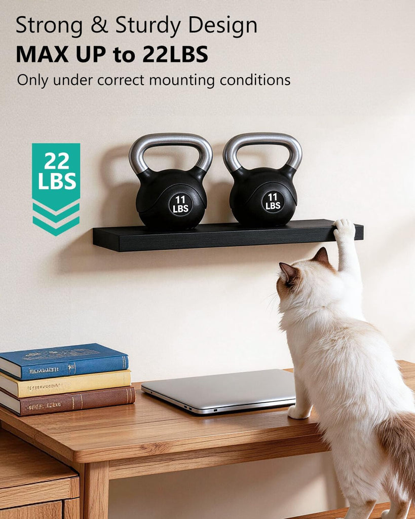 WALI Floating Shelves for Wall, 2 Tier Bathroom Storage Shelf Over Toilet, for Bedroom Bookshelf, Living Room Decor, Kitchen, Nursery, Laundry, Soundbar Floating Shelf Mount Under TV (CS102L), Black