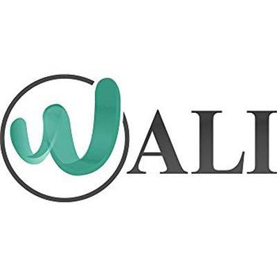 WALI TV Wall Mount (1330LM), Black 30units