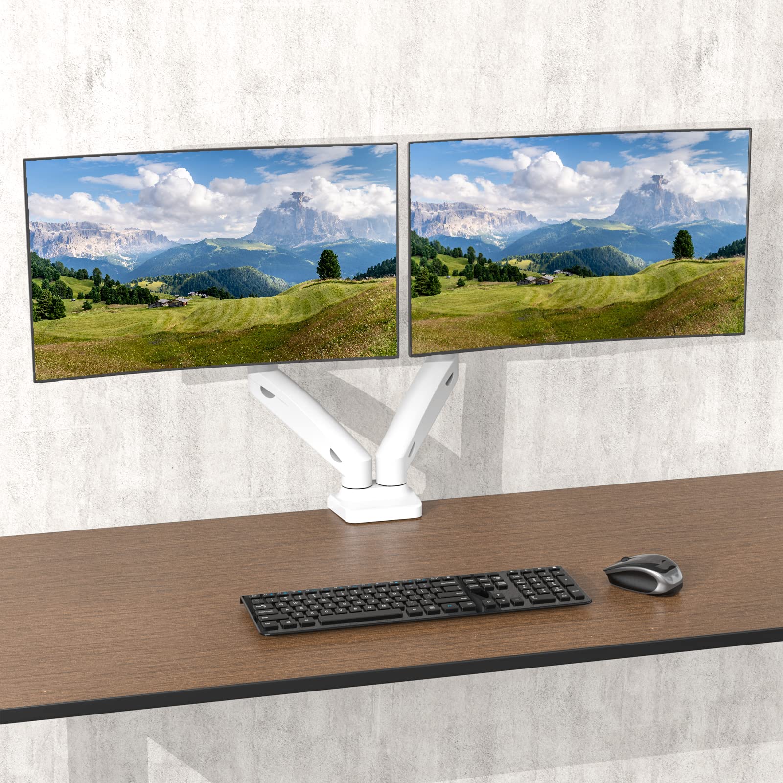 WALI Dual Monitor Stand, Gas Spring VESA Mount for 2 Monitors,GSMP002W ...