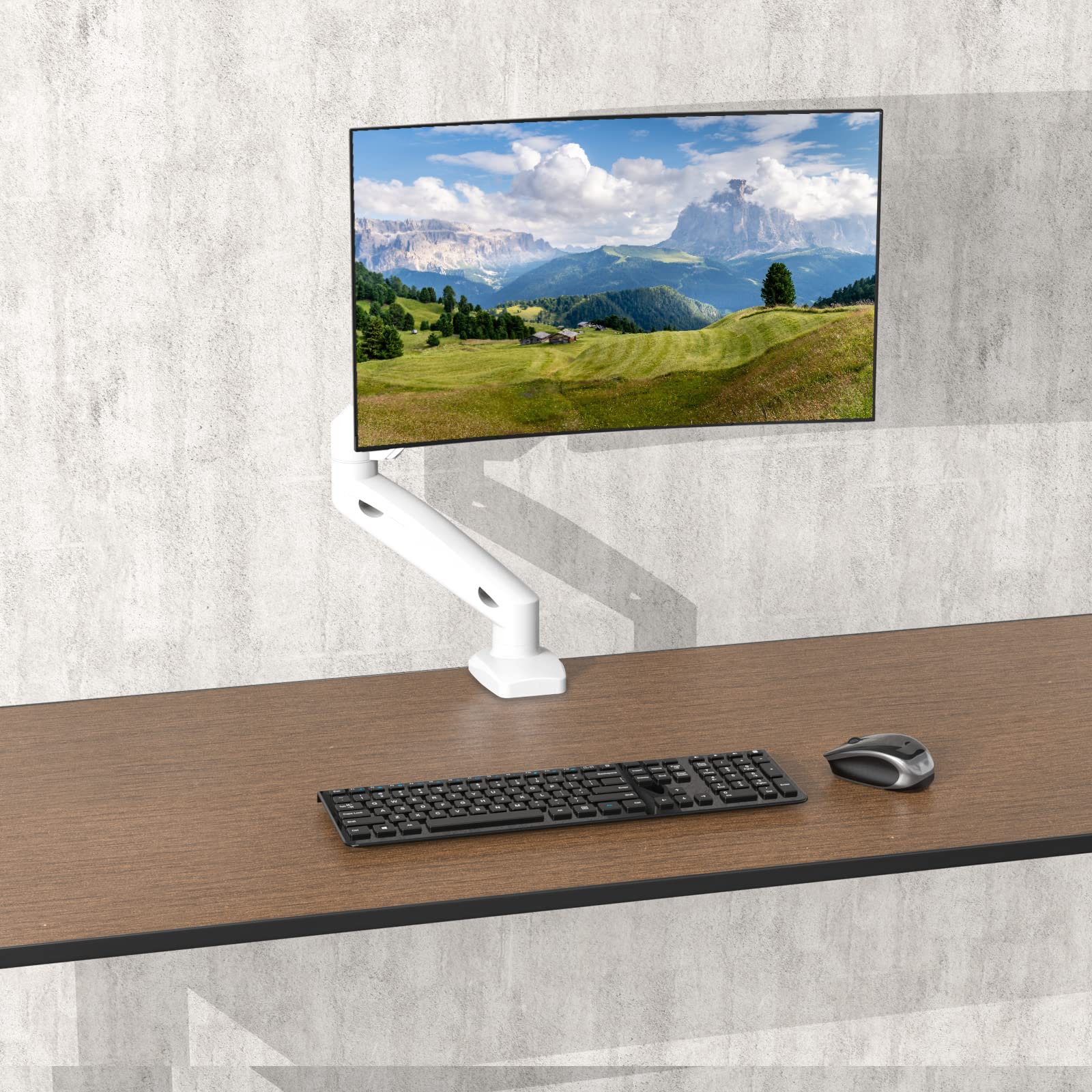 WALI Single Monitor Stand Mount Arm, Fully Adjustable Gas Spring Desk  Mount, with2 Easily Accessible USB 3.0 Ports, for Display Up to 35 Inch,  33lbs